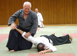 Aikido Seniortrainer